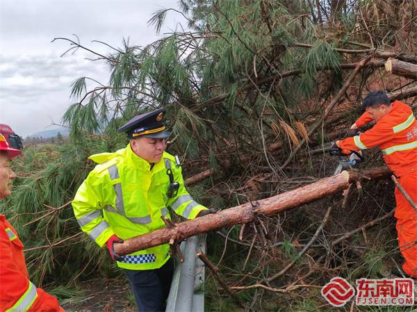 泰寧中隊(duì)執(zhí)法員聯(lián)合養(yǎng)護(hù)部門清理倒伏樹(shù)木.jpg