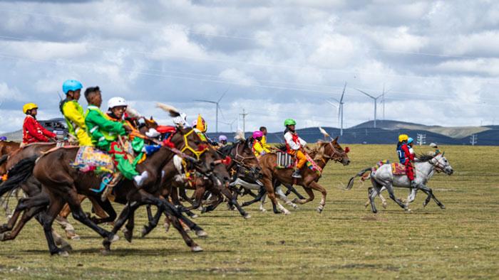 高原競(jìng)速：馬蹄踏響羌塘草原